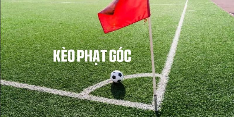 Đa dạng loại cược phổ biến cho bạn chọn lựa