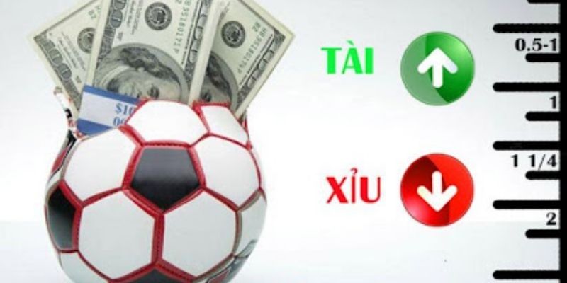 Mẹo bắt kèo tài xỉu chính xác là nội dung nhiều bạn quan tâm