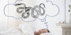 Mơ Thấy Rắn Là Điểm Gì - Giải Mã Giấc Mộng Hay Nhất 2025
